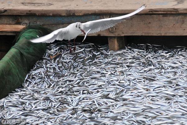 如何看知乎鹽選內(nèi)容免費_何立峰：中美應不斷拉長合作清單