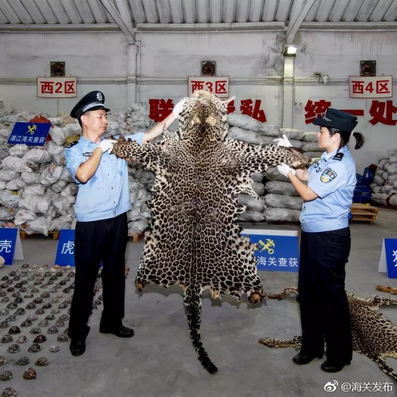 白帽操作是什么意思_浙金中心網(wǎng)站首頁更名