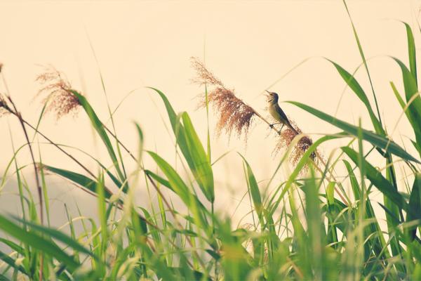 kali工具大全使用方法_力量發(fā)展:收購太原實(shí)地及東直門物業(yè)