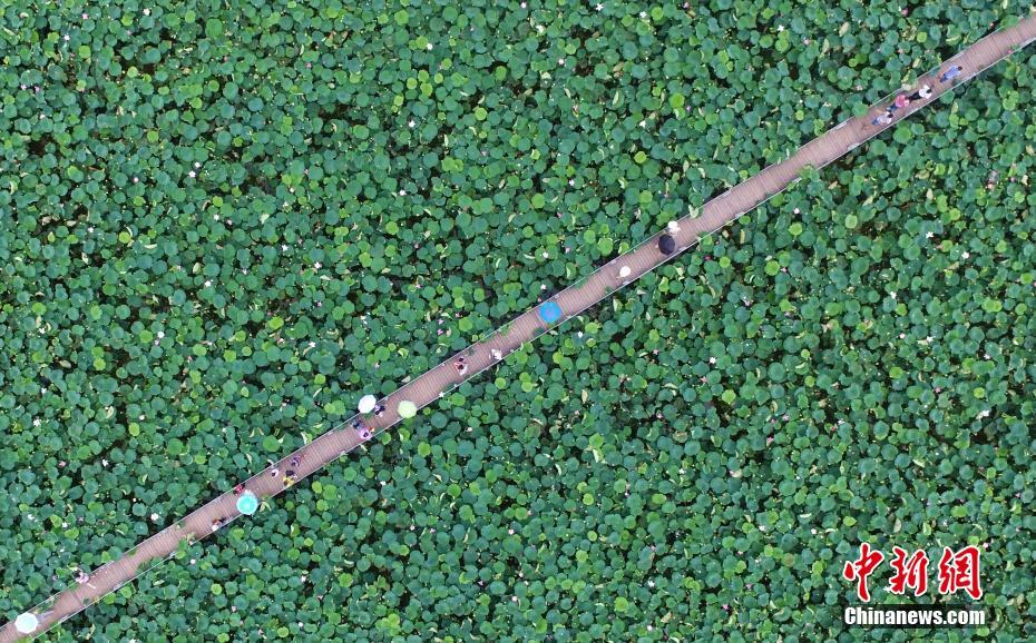 努比亞星云AIOS 2大版本升級計劃發(fā)布