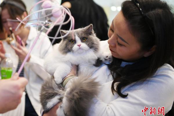 社區(qū)動(dòng)力discuz搜索網(wǎng)頁_將薩拉赫從歐冠除名！斯洛特放狠話：我可不軟弱 他或踢完最后1場