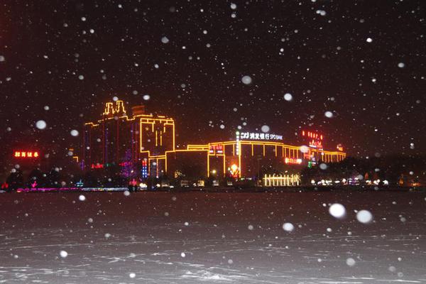 不掉備案域名出售平臺_今日期貨市場重要快訊匯總｜2025年12月10日