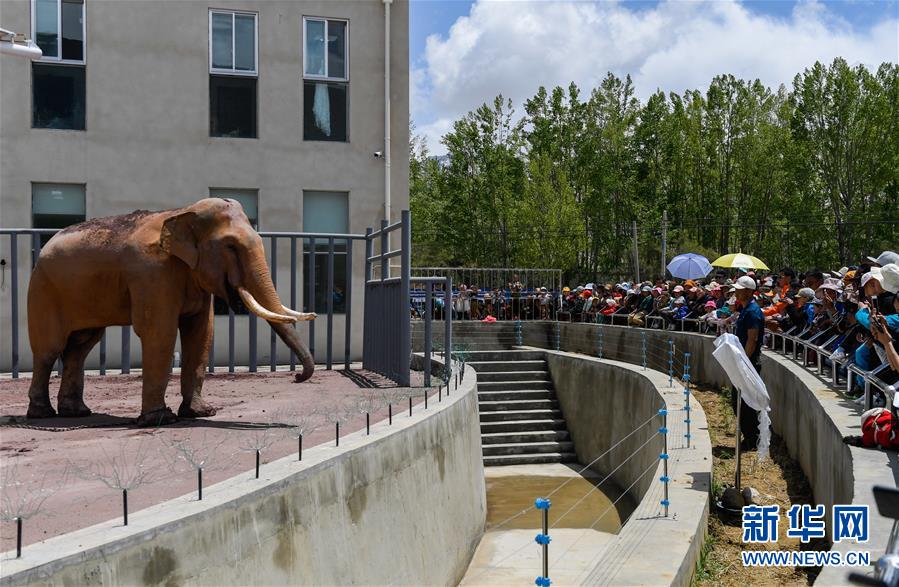 不用外網(wǎng)也能做的國外問卷調(diào)查_好家伙！《得閑謹(jǐn)制》上映就差評一片，觀眾差評理由出奇的一致