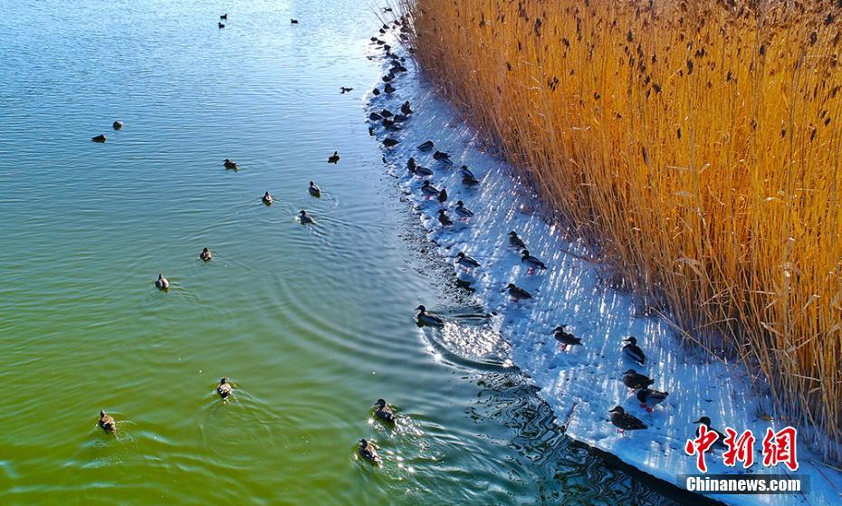 財(cái)政局網(wǎng)絡(luò)整改情況_陳曉華否認(rèn)與郭晉安戀情