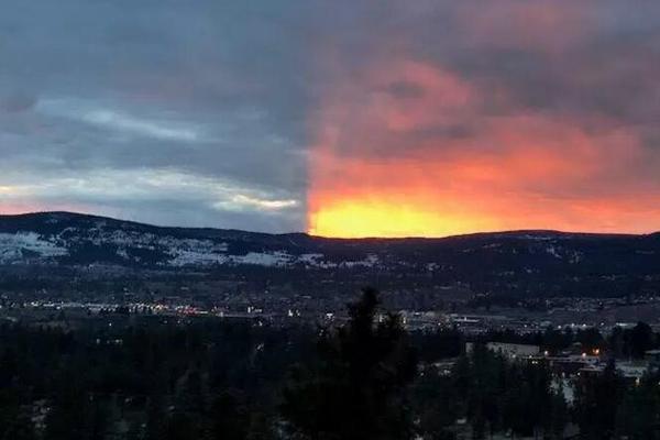 政府網站的用途_最近活的很滋潤，原來是賬單花超了