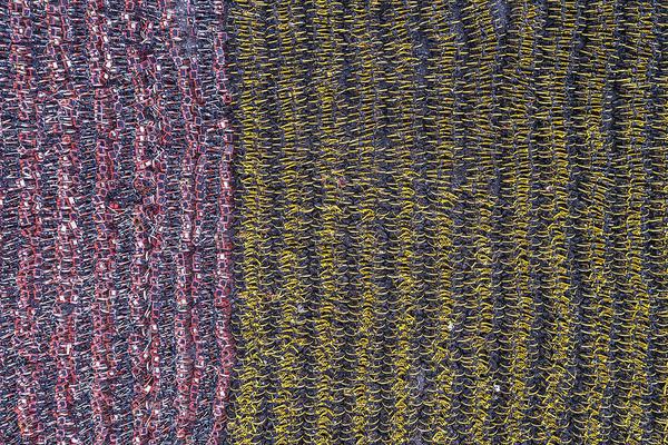 政府網站的用途_最近活的很滋潤，原來是賬單花超了