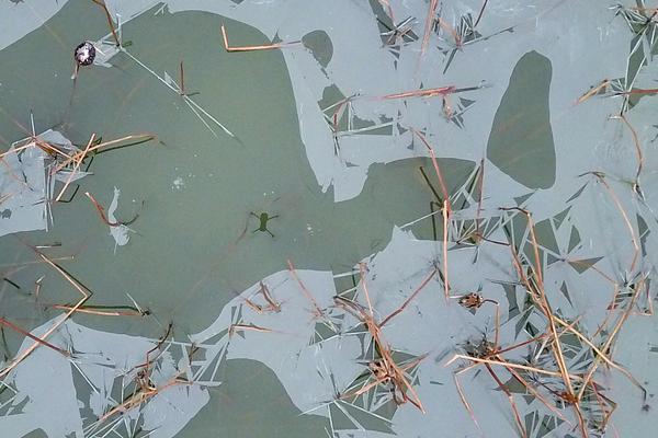 林良銘直紅可能受罰_第五季了，誰還在說艾米麗不時髦啊？