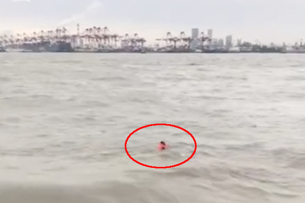 資產(chǎn)評估師報(bào)考網(wǎng)址_回鄉(xiāng)探親帶了10個(gè)保鏢，進(jìn)村看到養(yǎng)父被鎖狗籠，村霸：你算老幾！