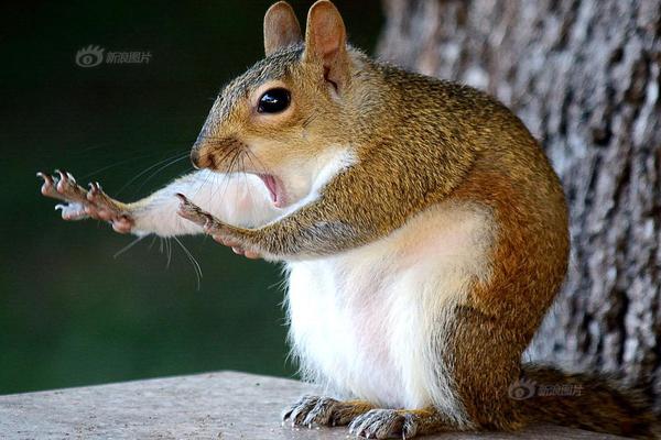 西安一公園相親展板上現(xiàn)演員楊洋照片，平臺(tái)回應(yīng)