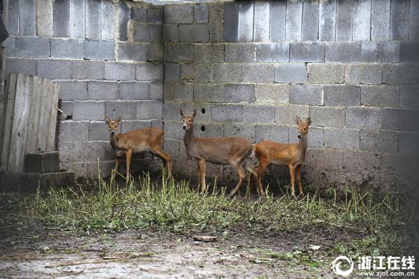 網(wǎng)絡(luò)安全常識知識競賽題庫_悲劇！土超球隊遭遇車禍 數(shù)人受傷一人不幸遇難