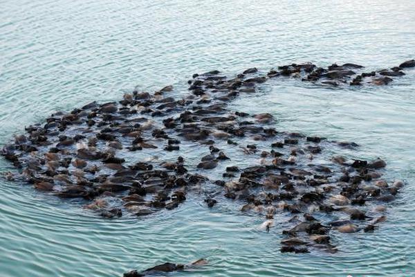 牛影視網(wǎng)站入口網(wǎng)頁版_V-Talk在微博 | 看見她力量