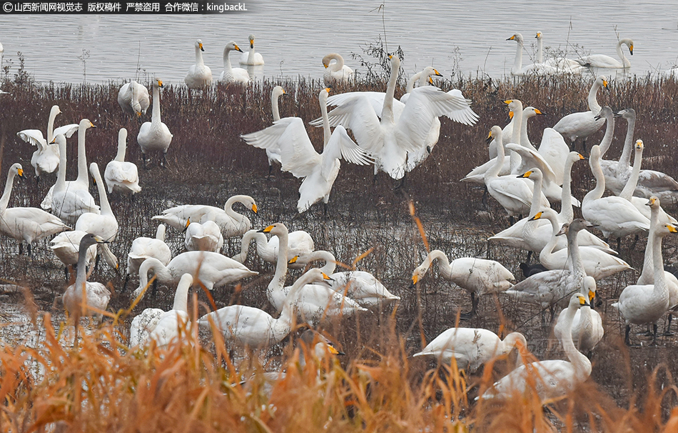仿冒網(wǎng)站識別服務(wù)在哪些省份有了_劉海寬演繹職場小人物李珂，以機(jī)會換女性公正