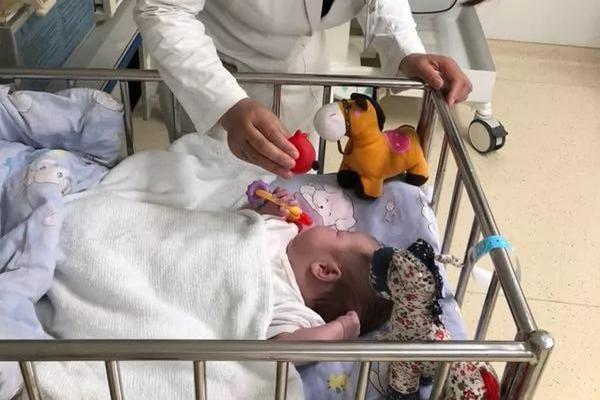 根目錄在哪_智譜開源具備手機(jī)操作能力的模型AutoGLM