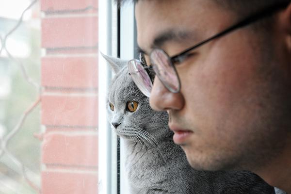 香港運(yùn)輸署開(kāi)始處理“粵車南下”申請(qǐng)