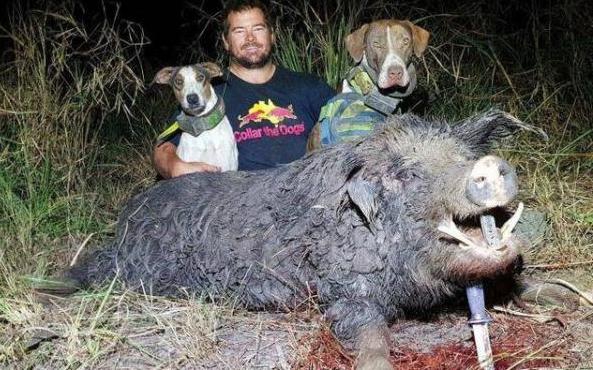 去哪旅行網(wǎng)官網(wǎng)_盛唐幻夜[會(huì)員搶先看]VIP 更新至12集