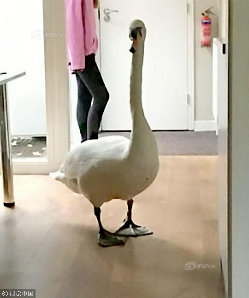 門(mén)戶網(wǎng)站改版升級(jí)方案_托育品牌紐諾教育完成數(shù)千萬(wàn)B輪融資，3年計(jì)劃營(yíng)收5-6億元