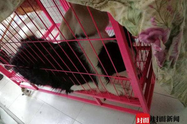 任意文件寫入漏洞的危害_佩斯科夫：美總統(tǒng)關(guān)于烏克蘭的表態(tài)與俄立場(chǎng)一致