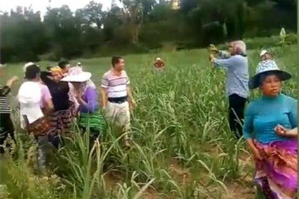 羊了個羊小游戲入口_澎湃OS 3正式版覆蓋更多機型：適配小米13系列，即日起推送