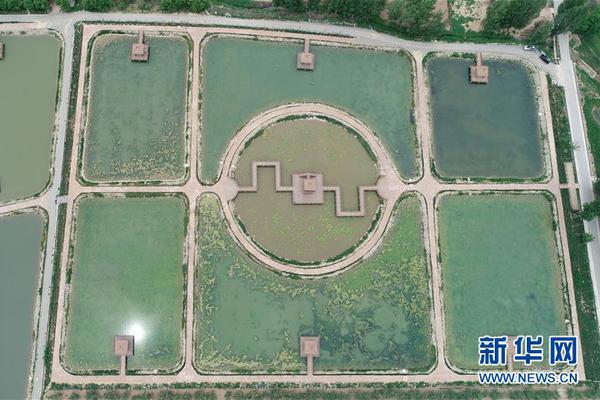 愿有一方院子，閑數(shù)光陰