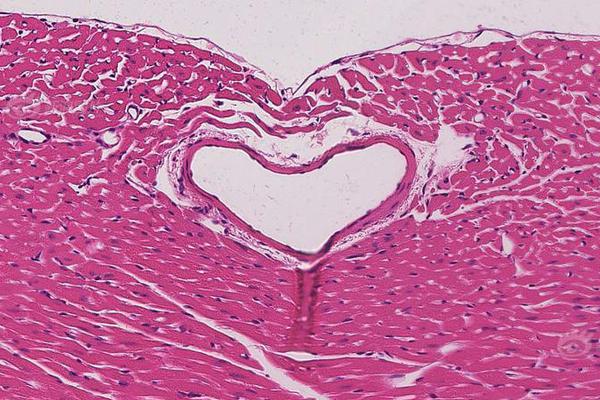 按瀏覽時間排序 按站點排序 最近關(guān)閉_杭州蕭山國際機場舉行航空器應(yīng)急救援綜合演練