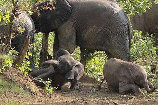 減少受到蠕蟲攻擊的可能途徑的最佳方法_孩子突然大發(fā)脾氣，翻舊賬？父母要意識到，這是心理創(chuàng)傷被激活了