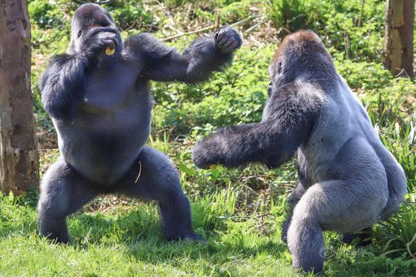 有沒有三國11的鏈接_青春華章 向海圖強(qiáng)丨山東向海圖強(qiáng)路上的10個(gè)地標(biāo)