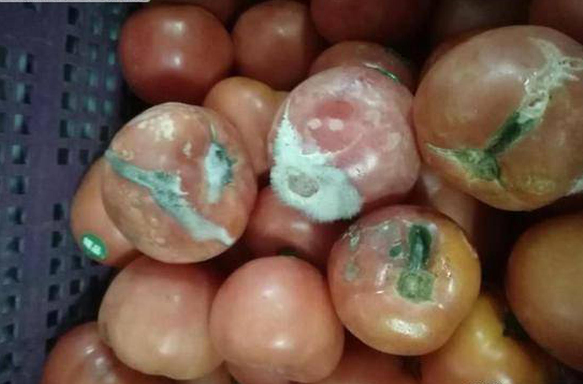 解三元一次方程組_“保暖的神”——羽絨服也漸漸走向潮流中心