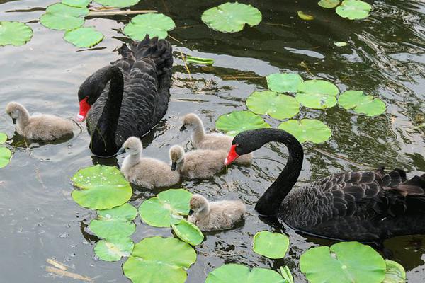nginx開發(fā)從入門到精通pdf版超清晰_流感高發(fā)期科學(xué)防護指南
