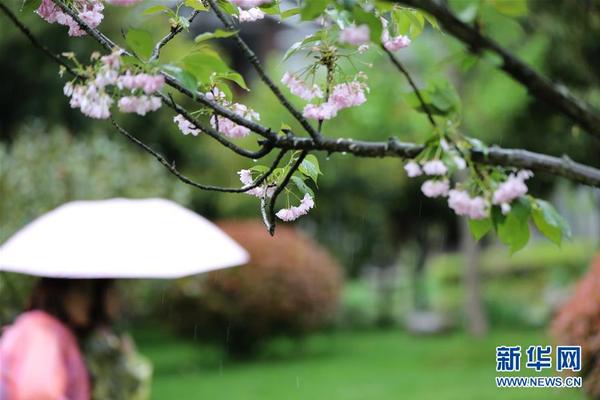 九數(shù)云官網(wǎng)網(wǎng)址_奚美娟事件：三十年謊言！誰是真正的受害者