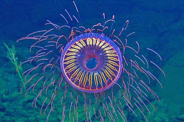 不用聯(lián)網(wǎng)就可以看小說的軟件_剛演示過絲滑跑步，特斯拉機(jī)器人莫名倒地，姿勢(shì)怪異