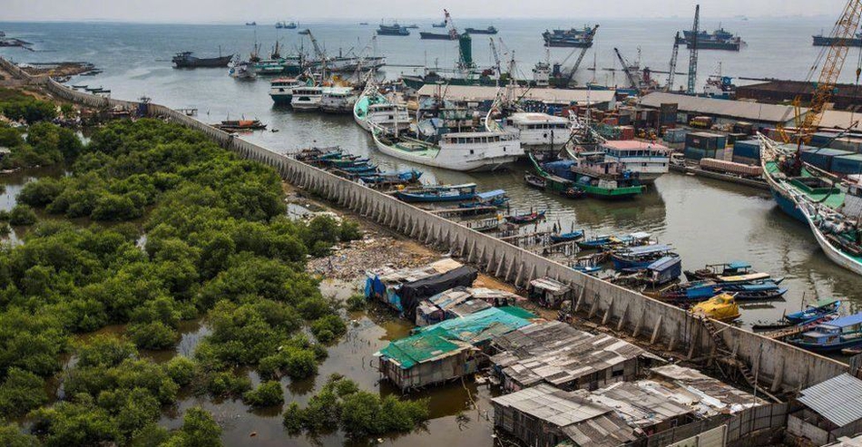 不用聯(lián)網(wǎng)就可以看小說的軟件_剛演示過絲滑跑步，特斯拉機(jī)器人莫名倒地，姿勢(shì)怪異