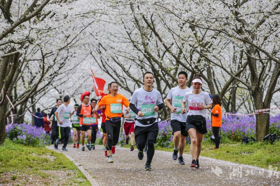大學(xué)生走進(jìn)“未來工廠”，探索智能制造新圖景