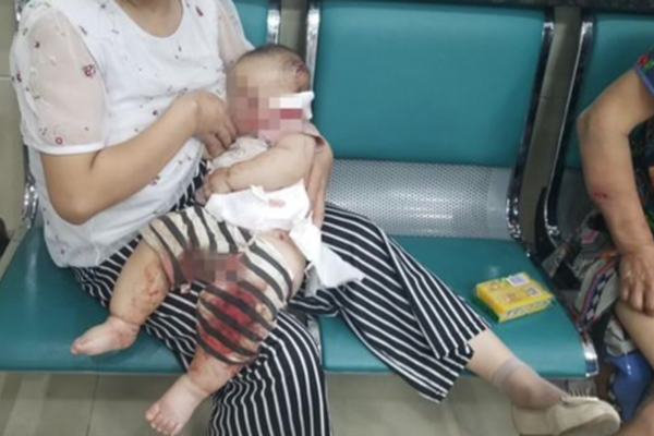 可視化html編輯器_日方稱中方?jīng)]有提前通報訓(xùn)練?？沼颍饨徊炕貞?yīng)