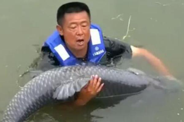 從事網(wǎng)絡(luò)工作的職業(yè)有哪些_2100萬人口的成都，要繼續(xù)“搶人”了