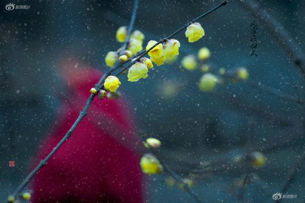 詐騙app平臺怎么騙錢_不敵風波中的利物浦，國米為何逢強必敗？