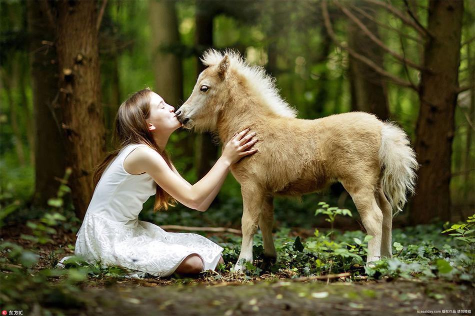 談學(xué)校如何開展陽光體育運(yùn)動(dòng)_河北尚義鴛鴦湖滑雪場全力備戰(zhàn)新雪季 預(yù)計(jì)元旦迎客