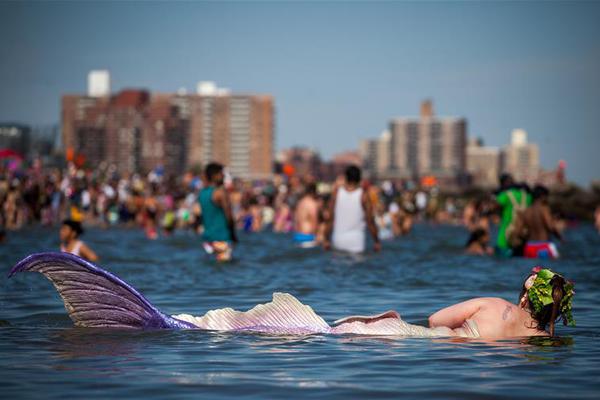 rhce是什么證書_銘記歷史，吾輩當(dāng)自強(qiáng)（感言）