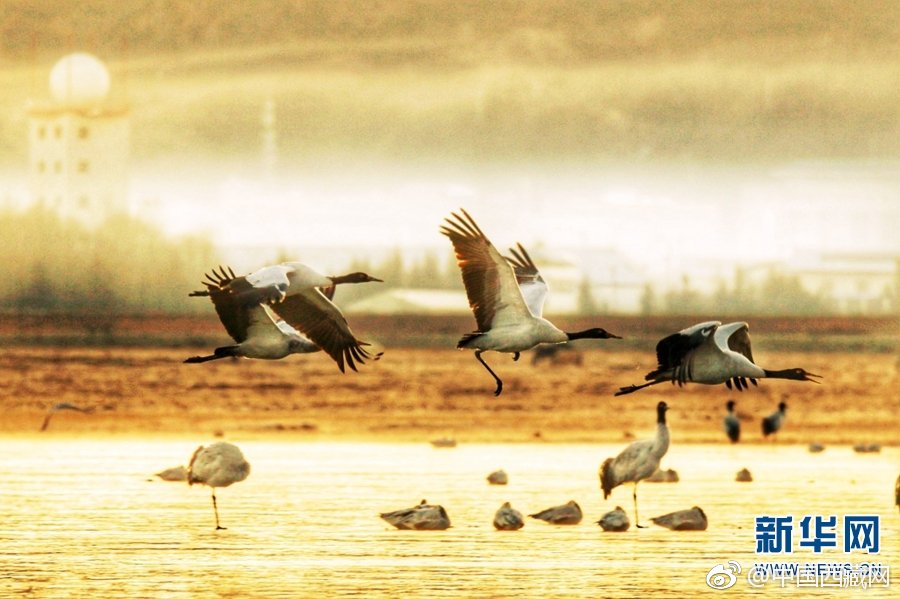 支付寶商家登錄平臺(tái)入口_11月教育行業(yè)融資報(bào)告：華途優(yōu)學(xué)完成千萬級(jí)天使輪融資