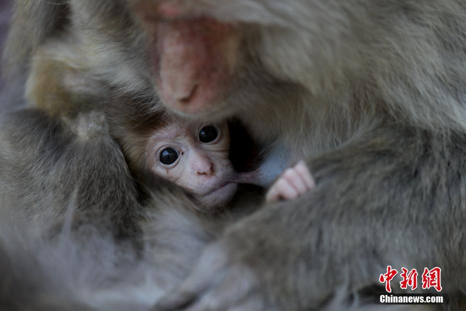 門(mén)戶網(wǎng)站官方_綠電“更聰明”！儲(chǔ)能化身“充電寶” 電網(wǎng)有“超級(jí)大腦”