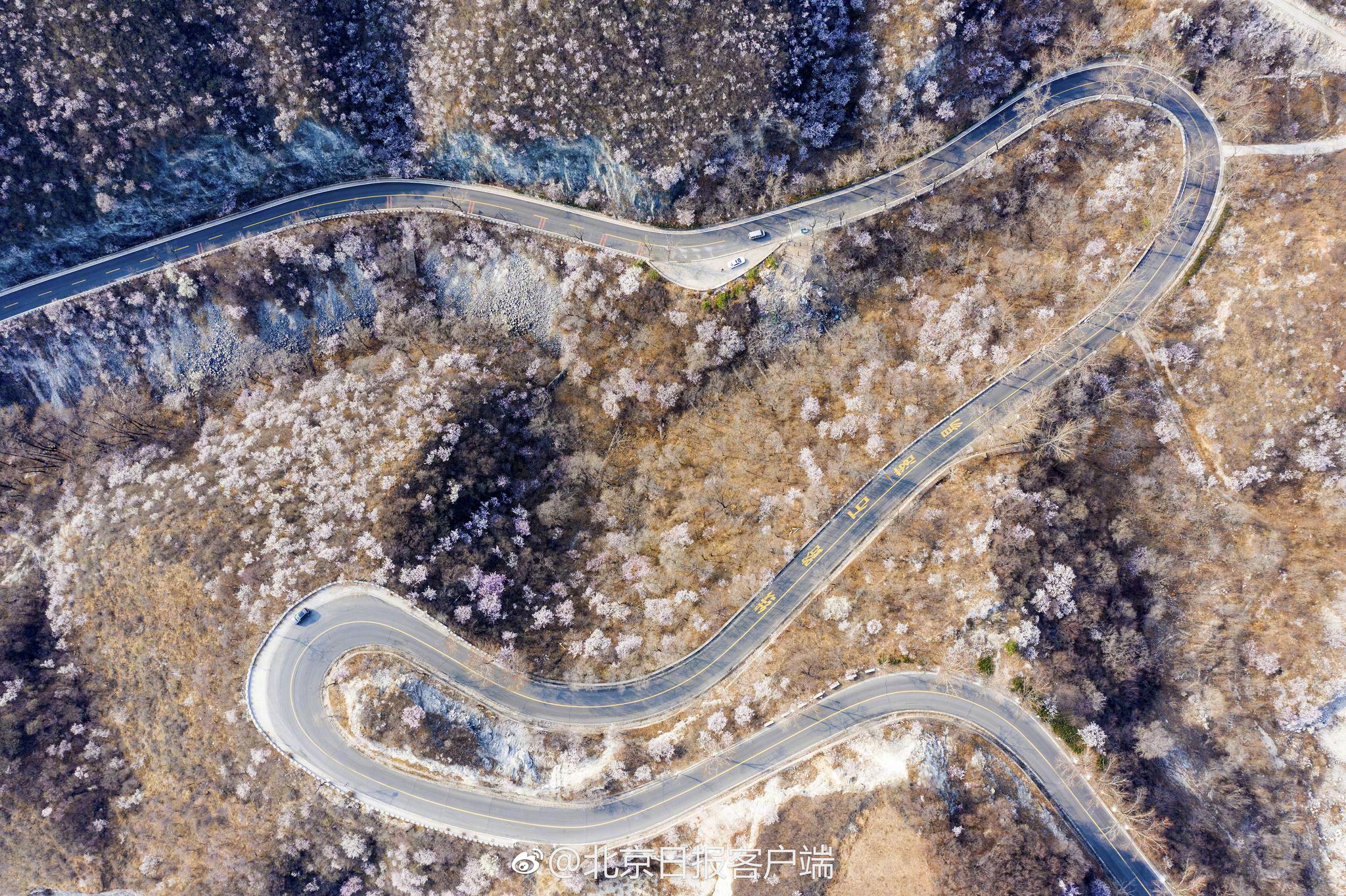 最詳細(xì)的有線mesh組網(wǎng)拓?fù)鋱D_京華國(guó)賢府0.83億拿下房山11月銷(xiāo)冠，操盤(pán)手為費(fèi)浩