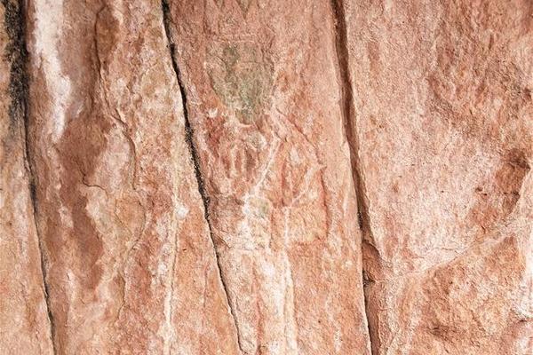 試訓20支球隊，落選，成為NBA新秀助攻王