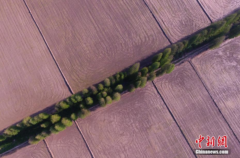 菲律賓電影男主人拿錢(qián)誘惑女傭_16區(qū)婦幼保健院均有兒科夜診