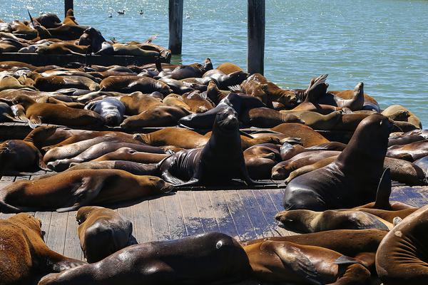 centos7安裝那地方怎么配置ip_西城兵馬司胡同騰退正在集中簽約，安置房給房山和大興