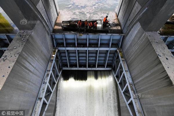 從“羊駝”到“牛油果”：Meta搖擺的AI戰(zhàn)略引發(fā)內(nèi)部混亂