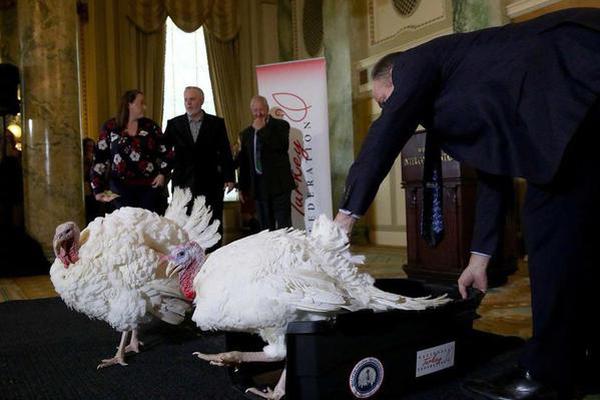 廣告seo是什么意思_英超:曼聯(lián)客場4-1狼隊升第6 B費2射1傳