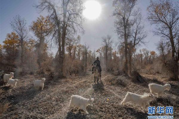 vm虛擬機(jī)怎么把窗口平鋪_亞冠激烈沖突！高天意遭對(duì)手伏擊，申花助教出頭，10人互相推搡