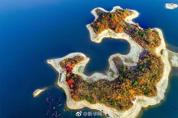 free wifi router_小米高管談5G:功耗高信號(hào)差