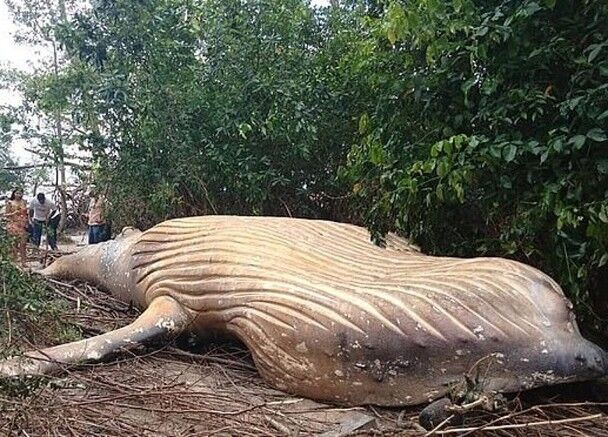 rar包跳過密碼直接解壓破解版_中國經(jīng)濟(jì)向世界提供“機(jī)遇清單”