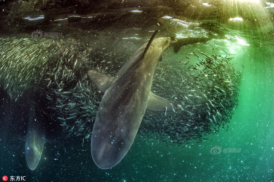 rar包跳過密碼直接解壓破解版_中國經(jīng)濟(jì)向世界提供“機(jī)遇清單”