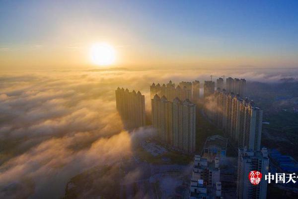 黑客接單平臺(tái)免費(fèi)_“大主母”成短劇圈新晉爆款人設(shè)